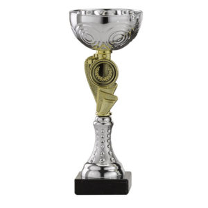 Preisgünstiger Pokal Art.Nr. RS155-0