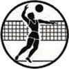 Emblem Volleyballspieler
