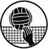 Emblem Volleyball