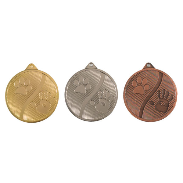 Medaillen Gold Silber Bronze