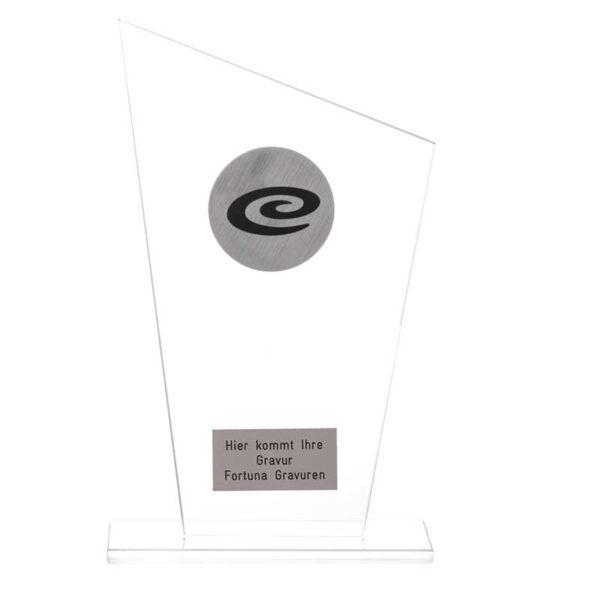 Glas Award Art.Nr. TM73 - Image 3